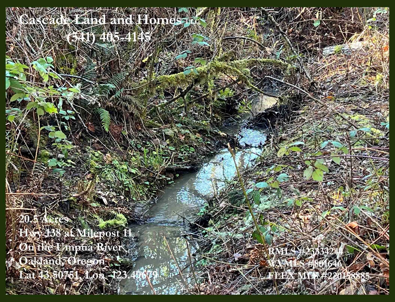 there is a seasonal creek on the property that empties into the umpqua river across the road from the property.
