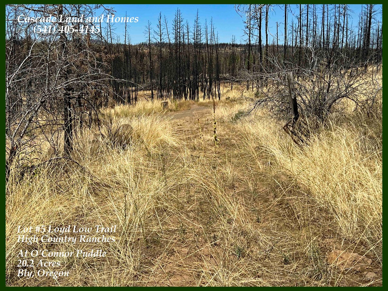 previously cut-in access road.