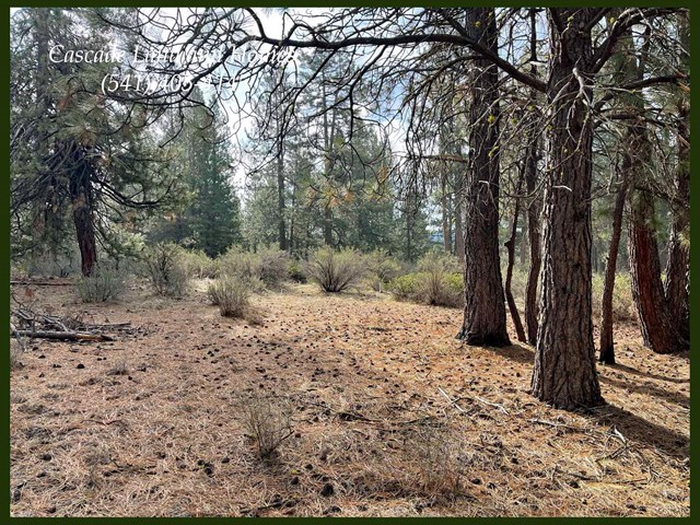 lot #5 s. waterview way williamson river pines