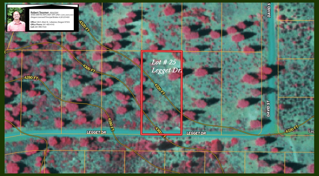 infrared image of the property with elevations.