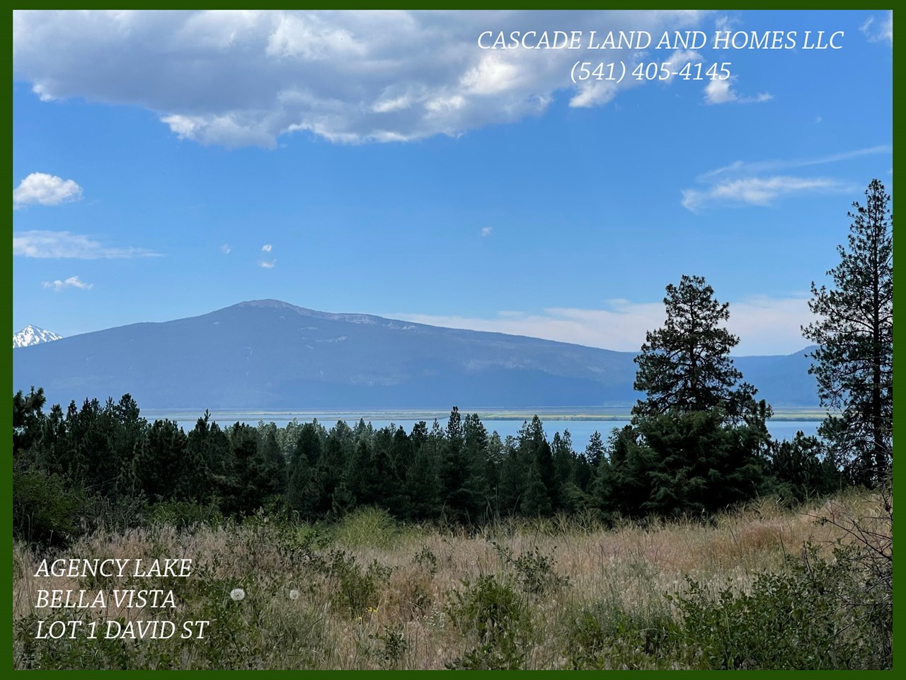 this photo was taken looking across the road toward the lake. the property is located within the pacific flyway for migratory birds. it isn't uncommon to see bald eagles, especially in the winter months, cranes, and pelicans!