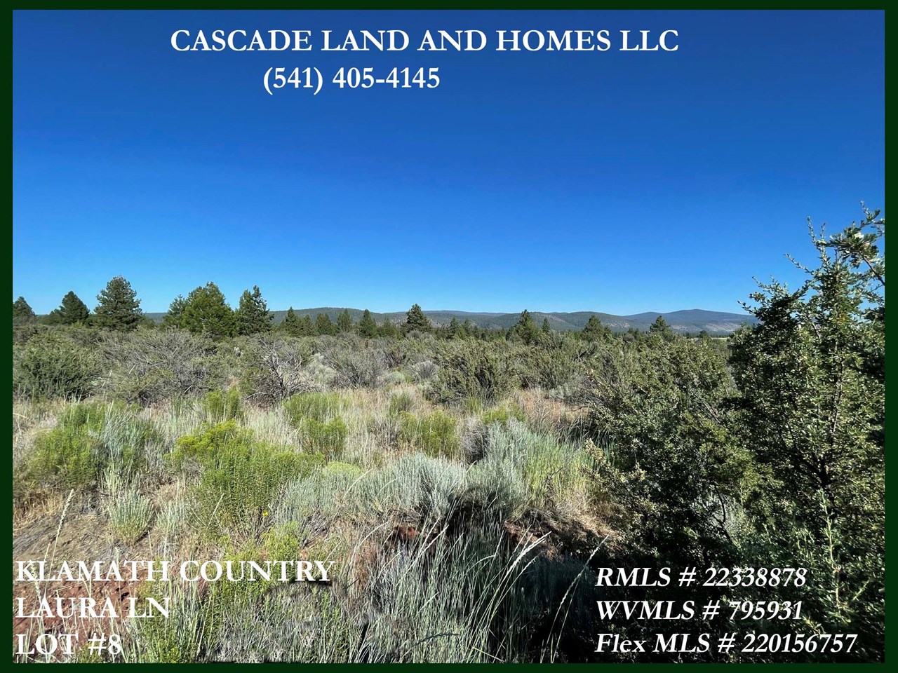 looking out across the property, it is fairly flat, offering many locations for a potential home site, bring your house plans and come explore the area!