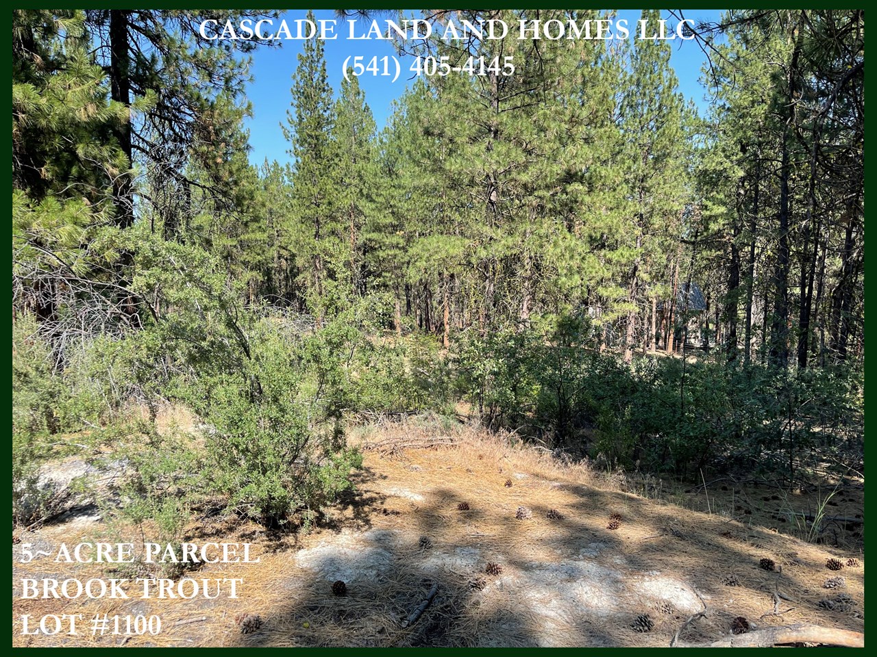 the property is heavily forested with pine and some juniper trees that offer privacy and a real feeling like you are out in the woods. when standing here you can smell the trees and hear the wind softly blow through them, the area is filled with wildlife and a feeling of freedom.