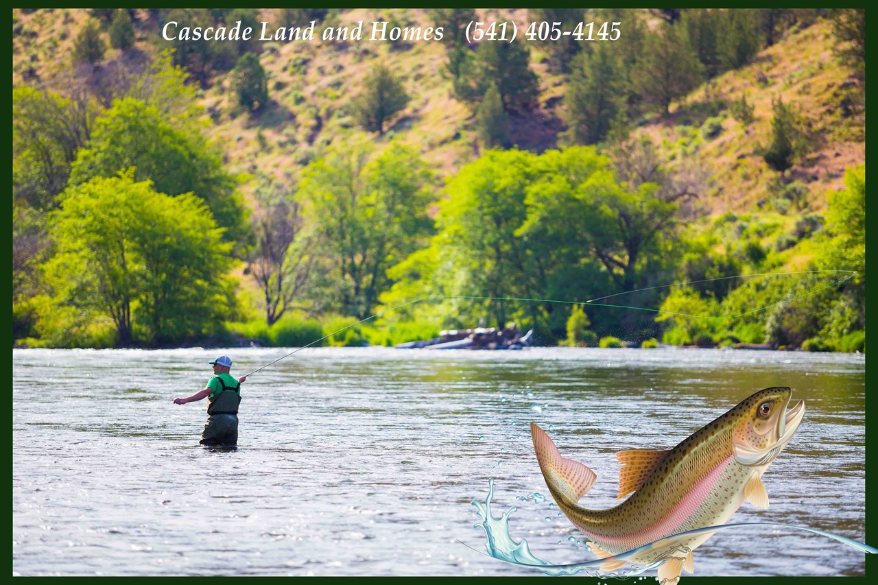 fly fishing in the williamson river is legendary, and just a short walk from the property!