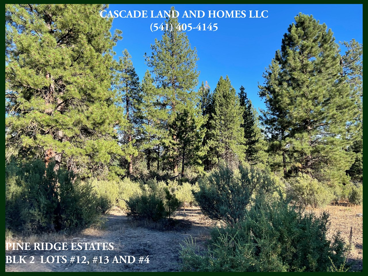 this large property offers many possible homesites. can't you just see your new home nestled in this sunny clearing? being on top of the hill here allows for plenty of sunshine. this picture was taken in the evening as the sun was getting ready to set over the nearby cascade mountains.
