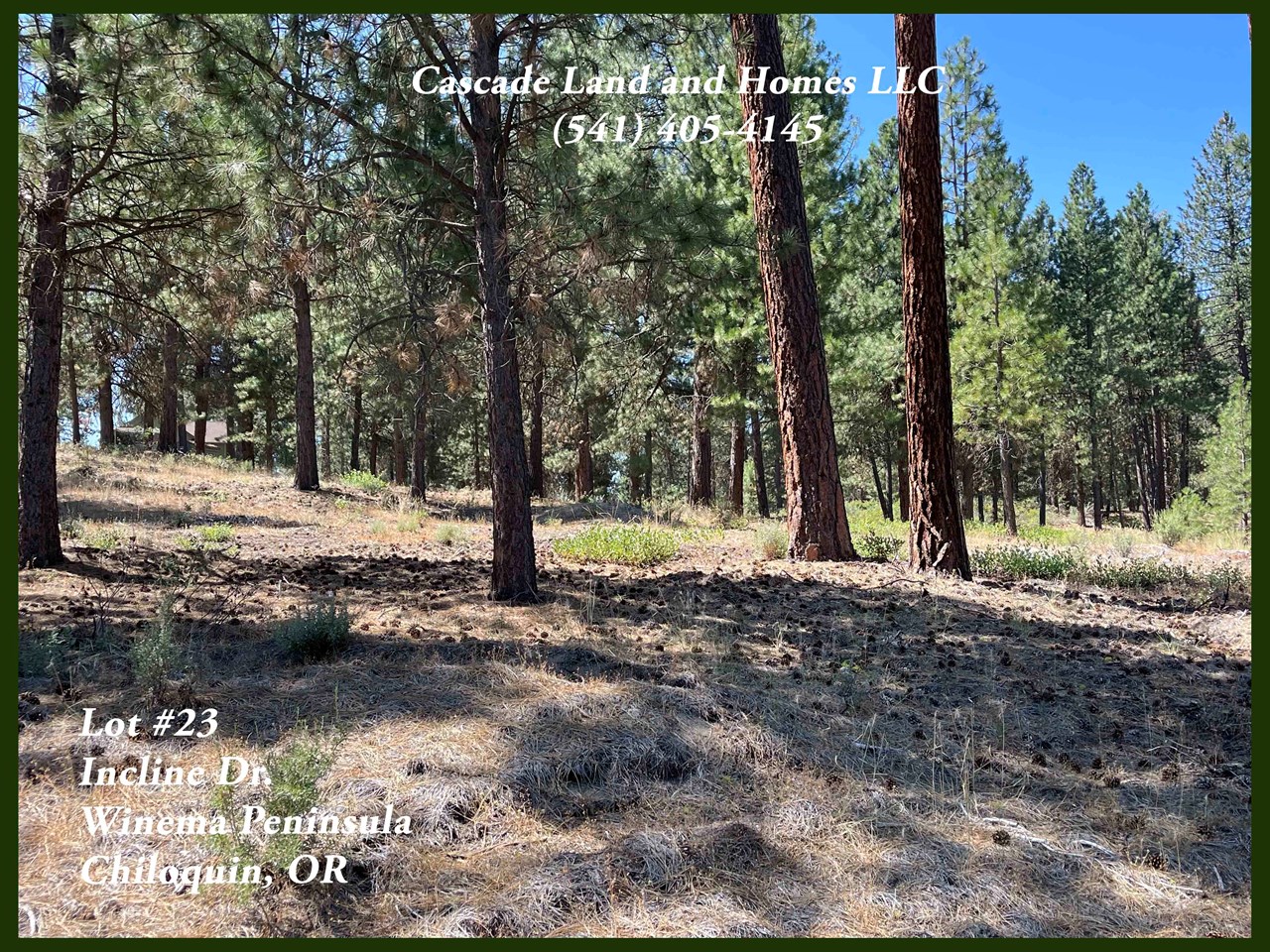 the property is heavily treed with ponderosa pines, and lodgepole pines. there are also native shrubs and grasses that cover the understory. in the spring the wildflowers are spectacular!