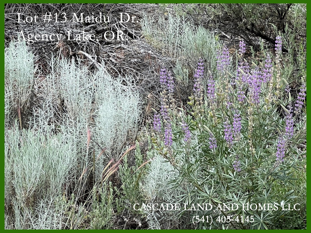 fields of gorgeous wildflowers! here, and all throughout the subdivision! this was taken in july on the property.