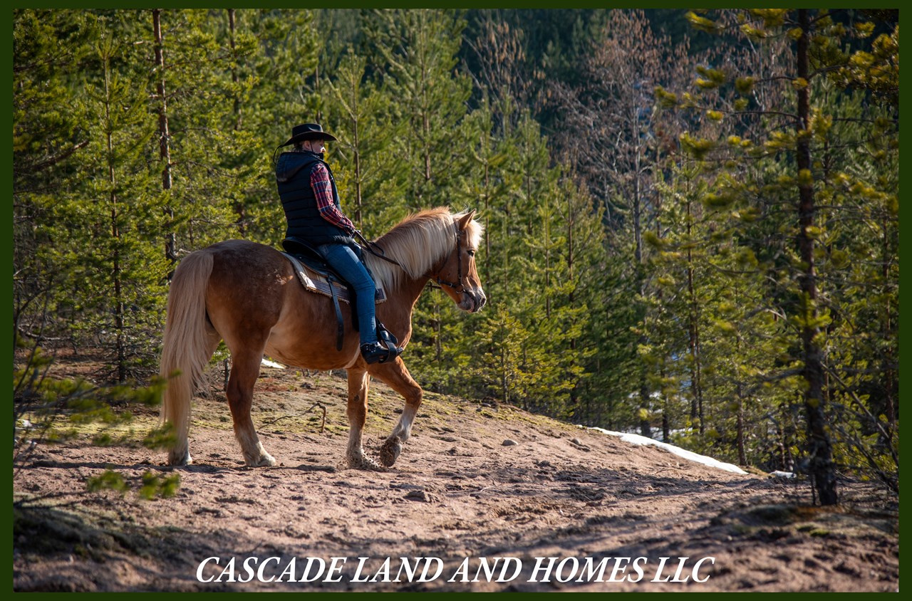 this property is large enough that you could possibly have a horse or some chickens, maybe a garden. there are many small family farms here, and it is definitely a country setting! the miles of public lands nearby would offer fantastic daytrips or overnight camping. take your horses out and explore!