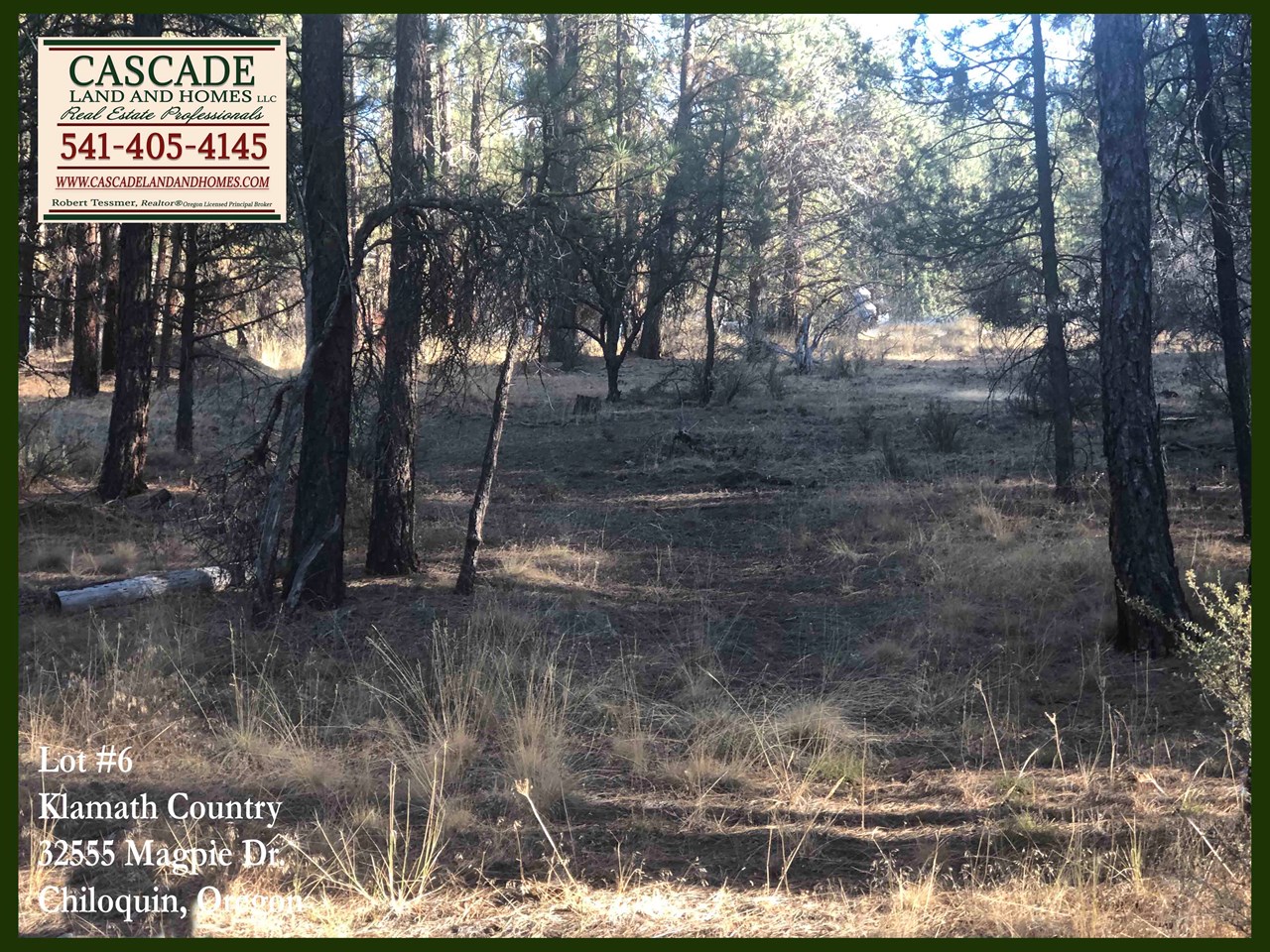 if you choose not to build yet, the property would make a great spot for a base camp or vacation spot to explore the nearby recreational opportunities! the sprague river offers fishing, fly-fishing, swimming, floating, or just watching the river peacefully flow by. if you love outdoor activities, this is the perfect place! hunting, fishing, horseback riding, camping, hiking, ohv riding, there is so much to do! the nearby freemont winema national forest is nearby and offers over 1,000,000 acres of public lands!