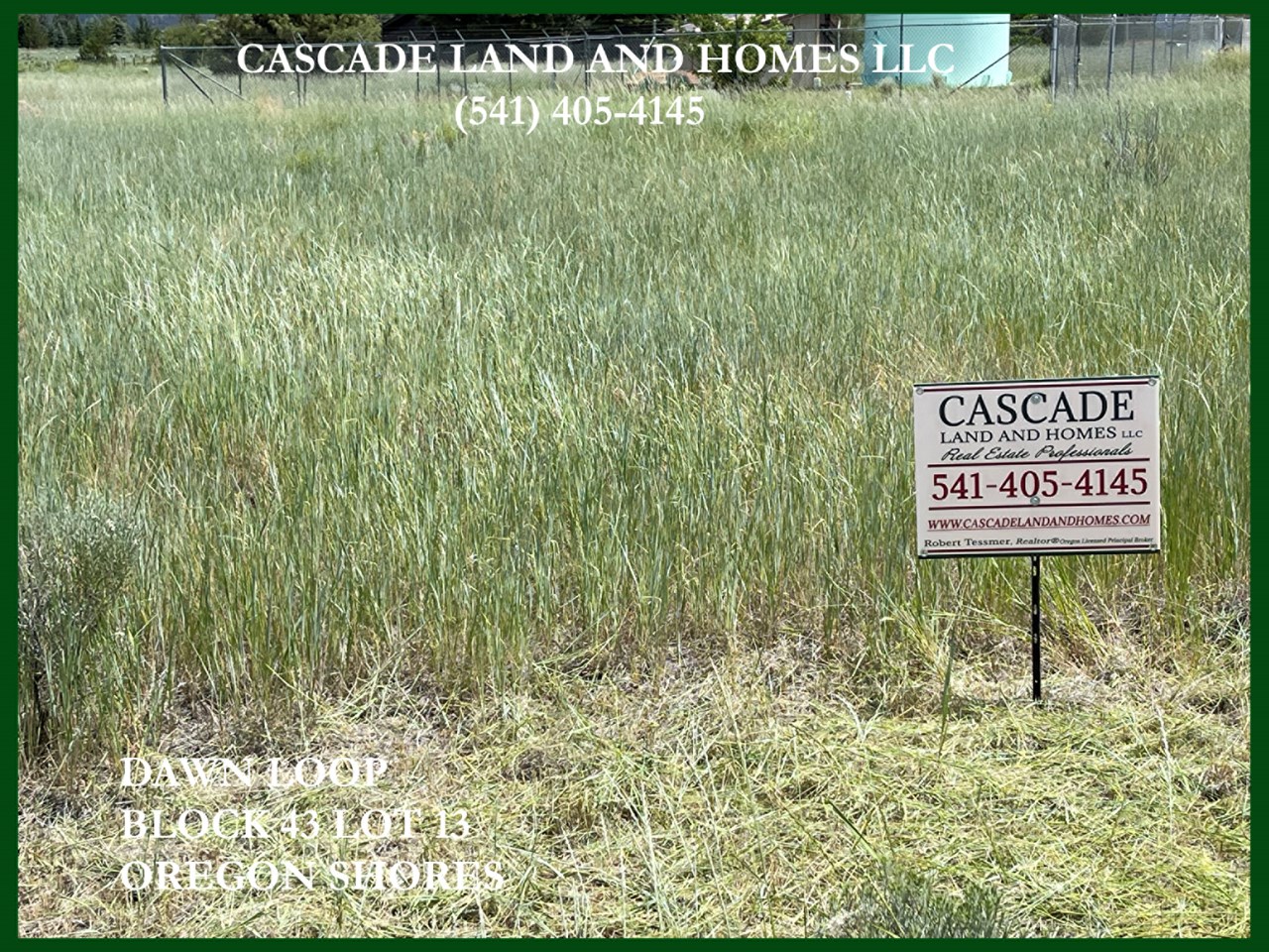 grasses and abundant wildflowers cover the surrounding rolling hills and meadows that lead to agency lake.