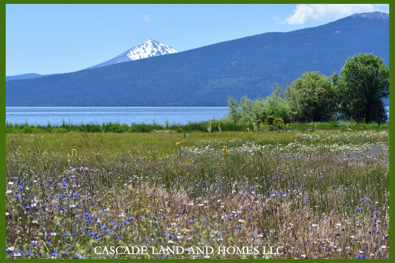 taken lakeside, with the late spring rains this year, flowers are everywhere!