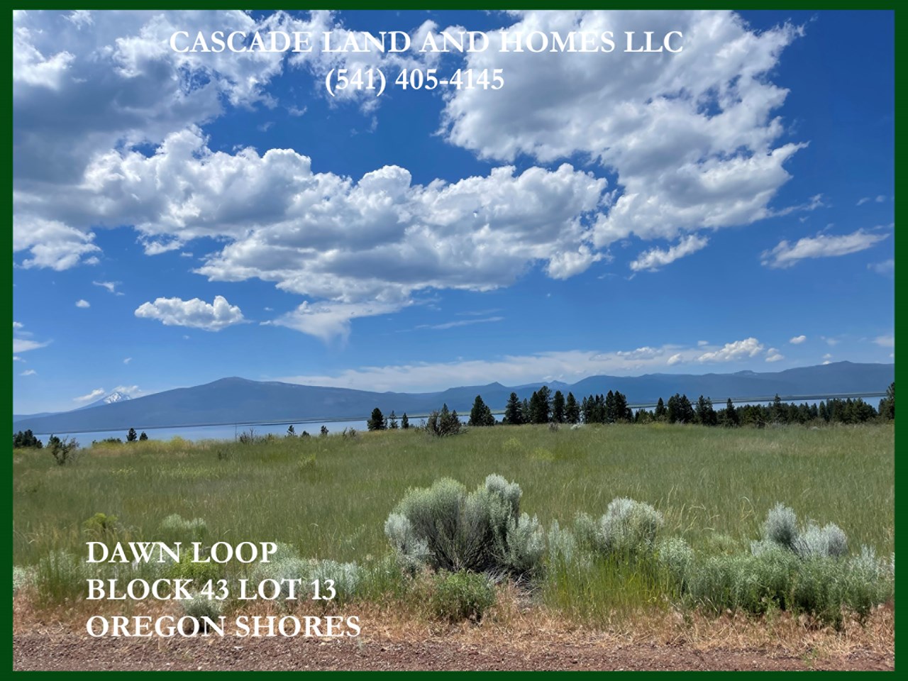looking out toward agency lake. imagine yourself sitting on your porch in the mornings with a cup of coffee or tea enjoying this view and the sound of migrating birds. agency lake is on the pacific flyway, and it is common to see bald eagles, songbirds and even pelicans!