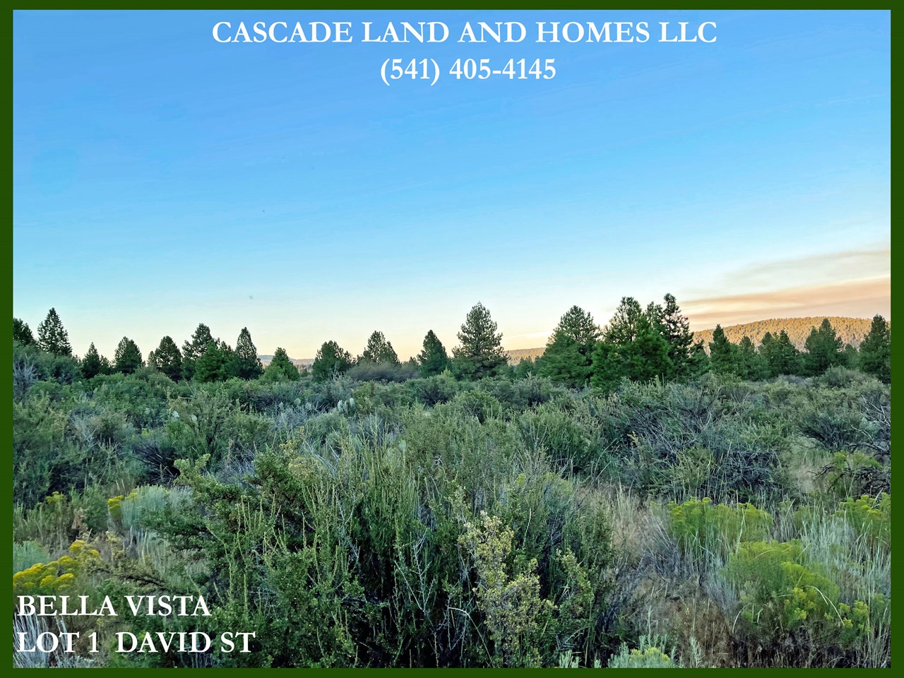 this photo is taken looking across the property from the roadside. it is a large parcel, almost an acre! it sits on top of a bluff so you have beautiful views no matter what direction you look!