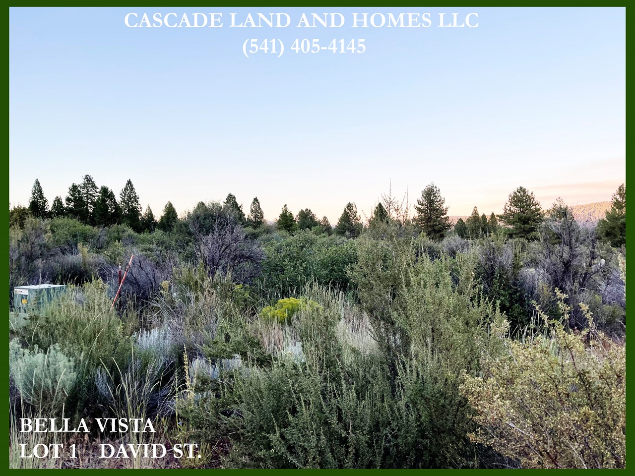 looking out across the gentle upward slope of the property. there are trees, native shrubs and grasses including rabbitbrush and sage that are typical for this high-desert environment.
