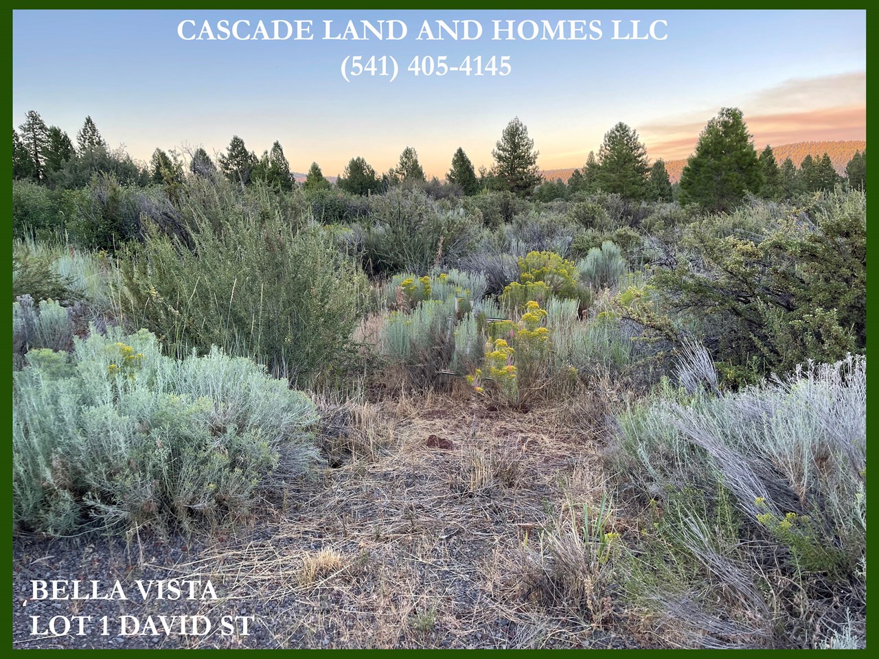 with the property being almost an acre, there are many possible building sites, all with fantastic views, so bring your house plans and find that perfect spot!
