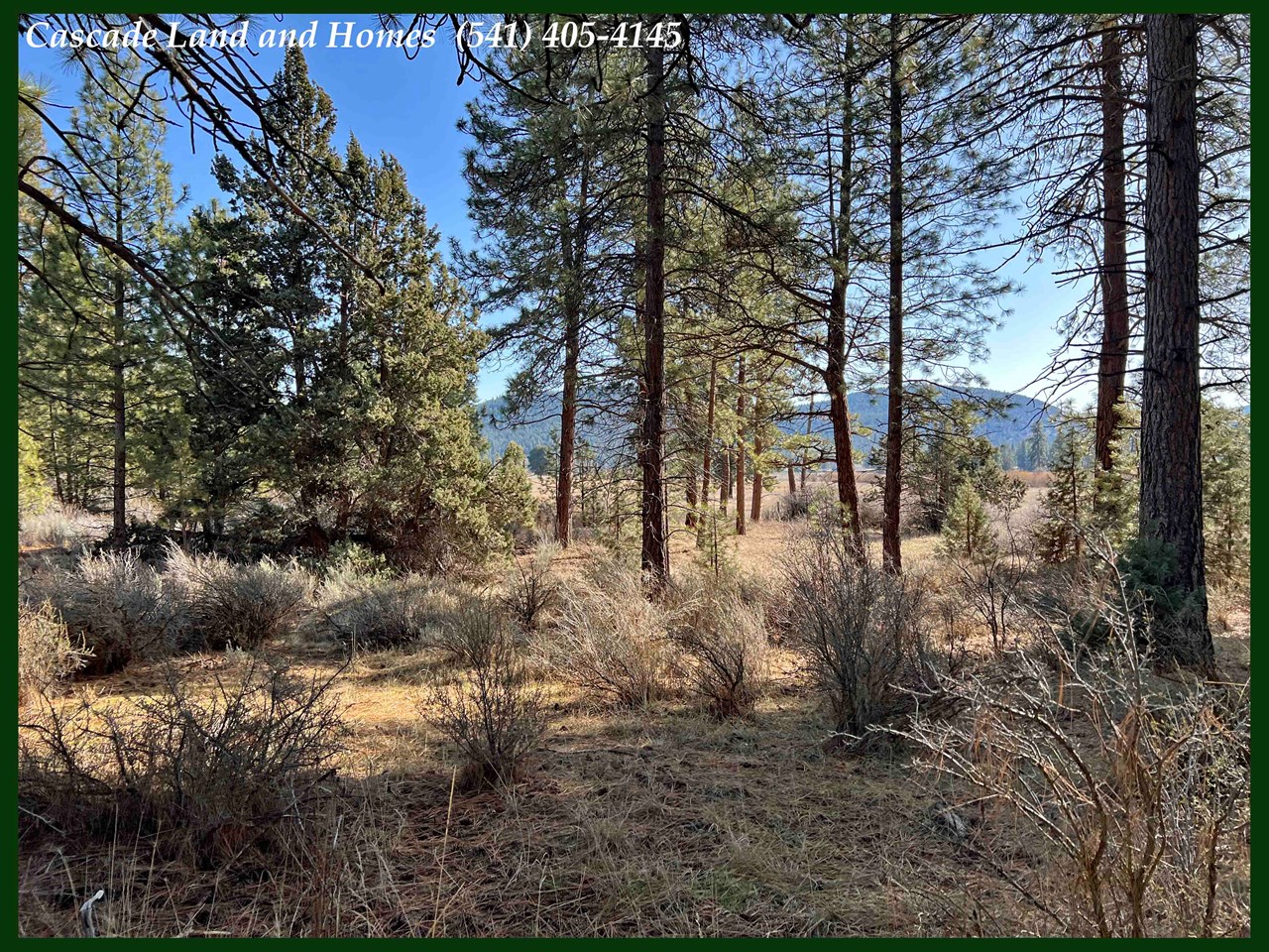 ground view, looking across the property toward the meadow / farmland.