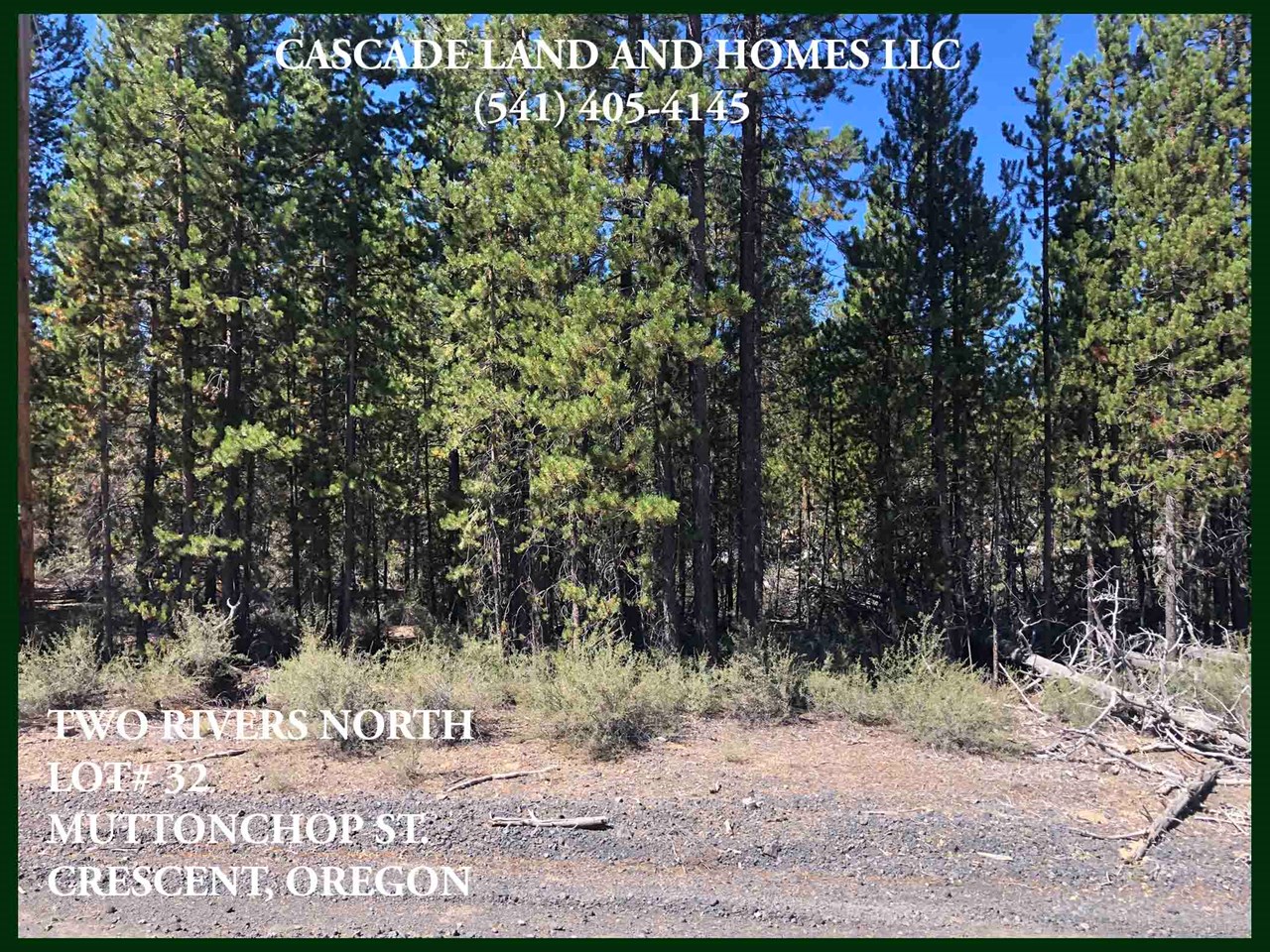 the heavily treed parcel adds to the feeling of privacy. there are various types of trees on the property as well as native shrubs and grasses.
