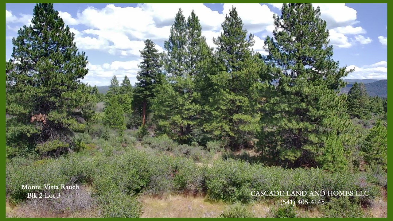 fantastic view property on top of the hill overlooking agency lake and the surrounding mountains and valleys. there are many large, mature pine trees and some low shrubs and native grasses covering the property.