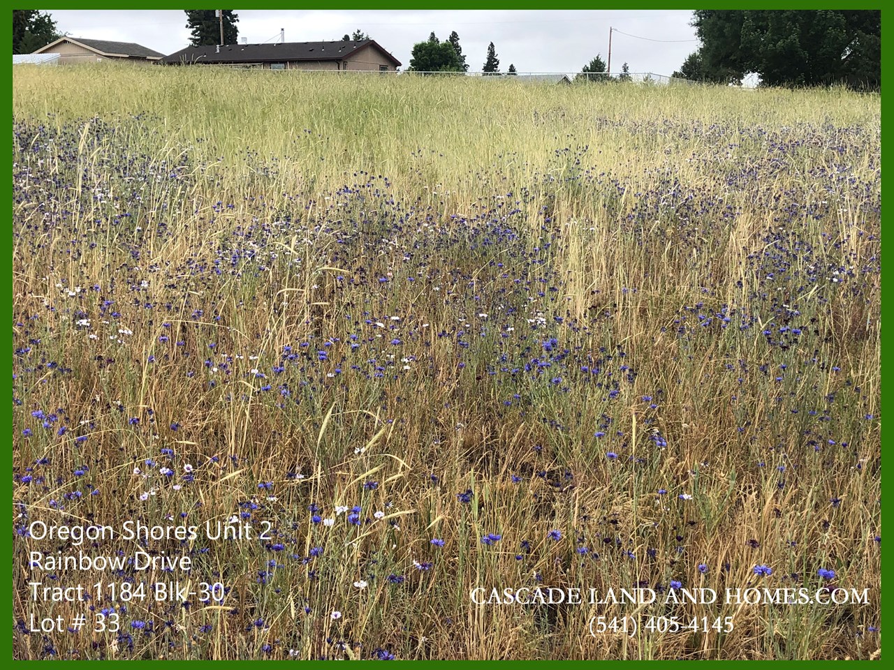 bring your house plans! this parcel has a lot of potential, and look at those gorgeous flowers!