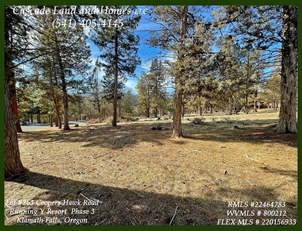 tall, mature ponderosa and juniper trees cover the property offering shade, privacy and the ambiance of being out in forest in a mountain resort community!