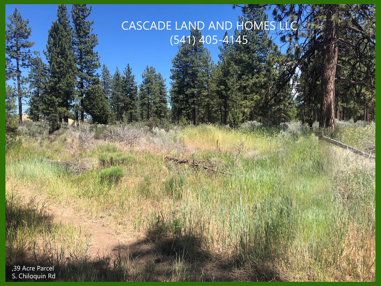 large trees around the property offer privacy and shade in the summer. there are some low growing shrubs, mostly rabbit brush and sage along with native grasses that blanket the property.