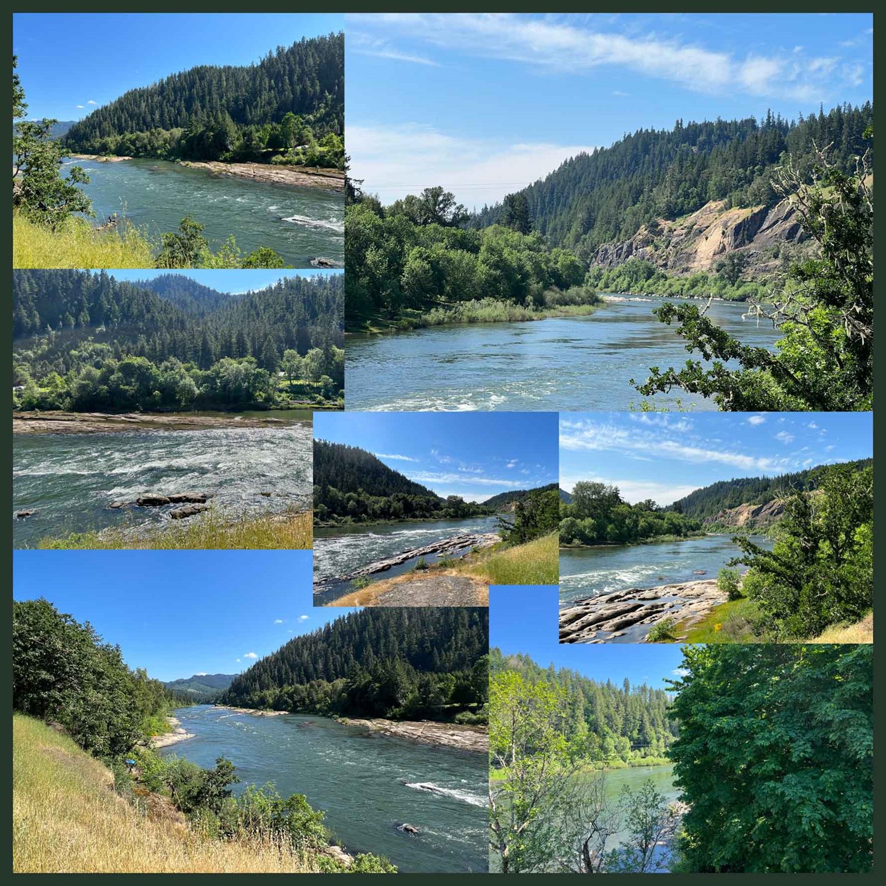 the umpqua river! just walk across the street from the property and enjoy the incredible beauty of the umpqua river!