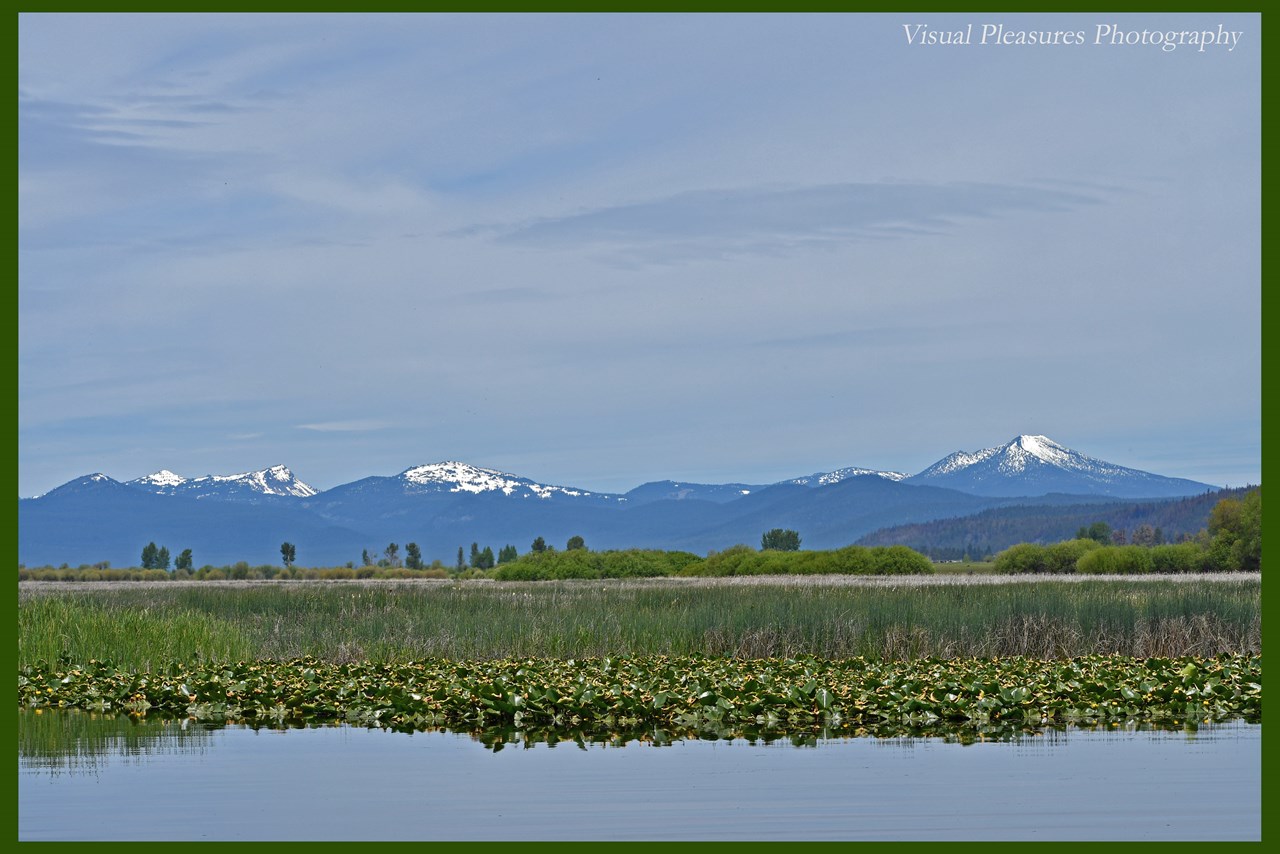 agency lake and the snow-capped cascades that surround it. agency lake is a shallow lake, and is on the pacific flyway where more than 400 species of migratory birds pass through, including bald eagles, sandhill cranes, songbirds and pelicans!