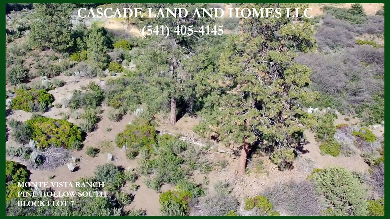 this is an overhead drone picture showing the trees and native vegetation on the property.
although much of the area is forested, and lakes and rivers surround you here, it is considered high desert. agency lake sits at the foothills of the cascade mountains. this combination allows for almost 300 days of sunshine a year, and the mountains, lakes, streams offer a wide range of recreational opportunities, including, boating, hiking, fishing, fly-fishing, paddle boarding, horseback riding, mountain biking and a wide range of winter sports over the willamette pass.