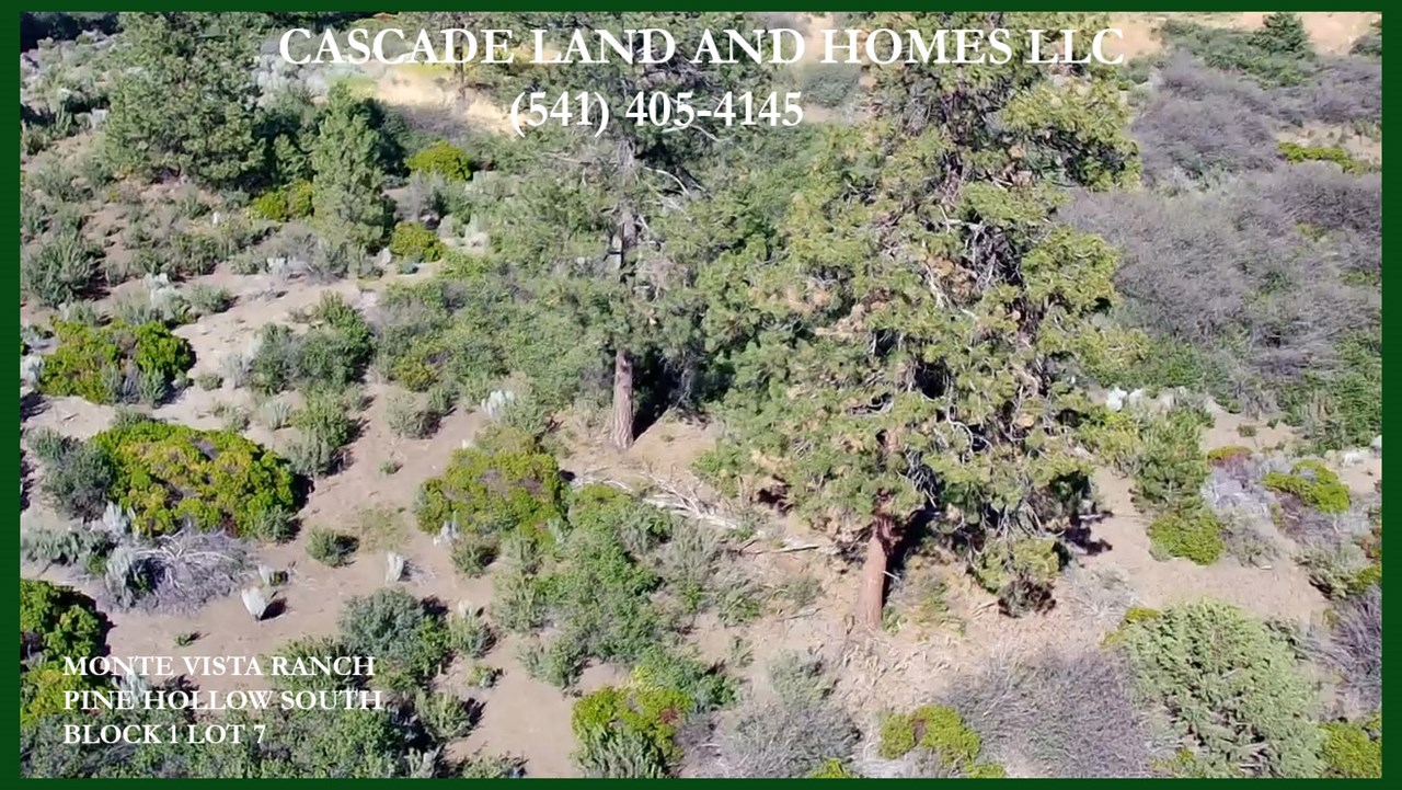this is an overhead drone picture showing the trees and native vegetation on the property.
although much of the area is forested, and lakes and rivers surround you here, it is considered high desert. agency lake sits at the foothills of the cascade mountains. this combination allows for almost 300 days of sunshine a year, and the mountains, lakes, streams offer a wide range of recreational opportunities, including, boating, hiking, fishing, fly-fishing, paddle boarding, horseback riding, mountain biking and a wide range of winter sports over the willamette pass.