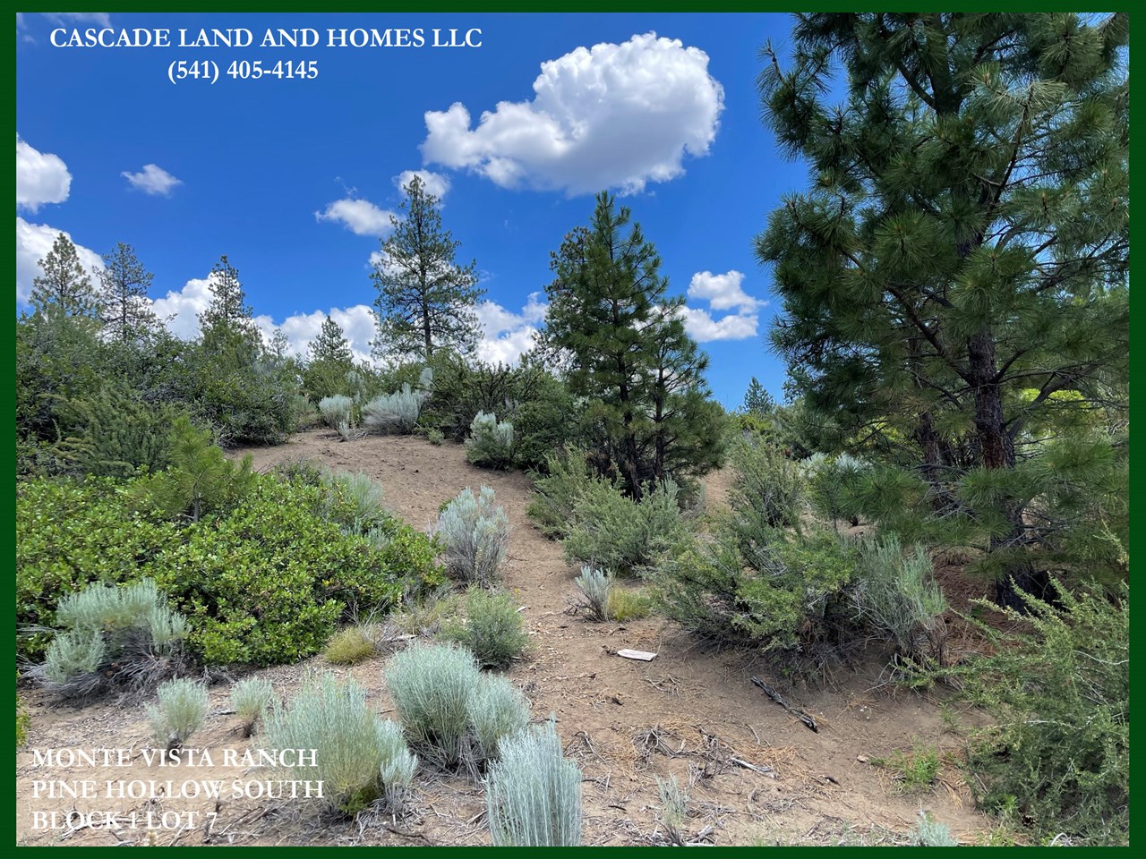 this is a large parcel, just over an acre! bring your house plans and imagine the possibilities!