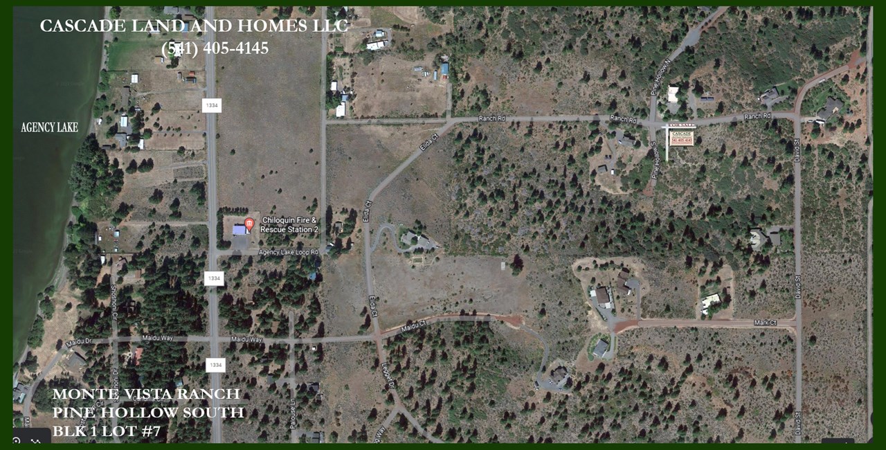 google earth photo showing the homes surrounding the property, and the proximity to the lake.