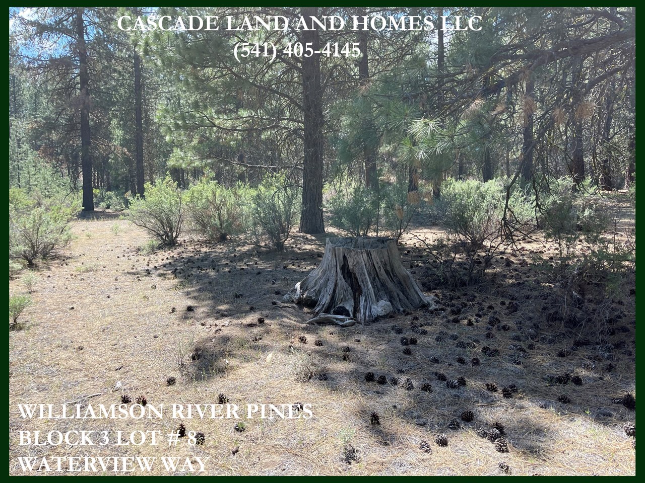 the property is at the end of a quiet cul-de-sac with very few neighbors. it's so peaceful here, just where you would want to build your new home if you are looking for a quieter lifestyle with the wilderness surrounding you!