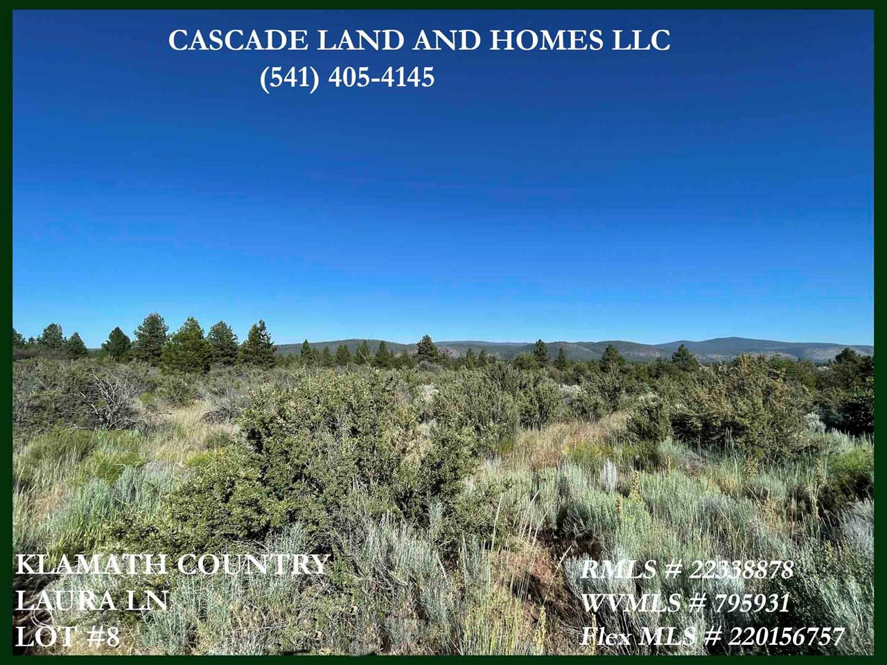 there are no trees on the property, just low brush, mostly rabbitbrush and sage, which allow for amazing views of the hills, valleys and pastureland that surround the area.