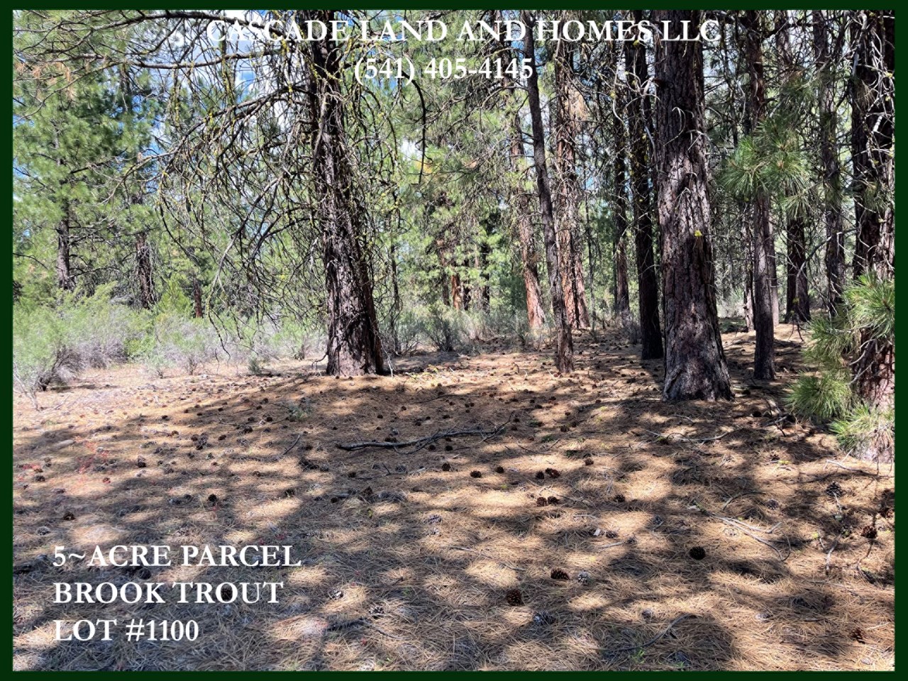 this large 5-acre property is heavily treed, and covered in native vegetation, sage, rabbit brush, and grasses. the tall pines offer privacy and shade in the warm summers. the property really gives you a feeling of privacy, and with five acres, you wouldn't have neighbors too close! this would be a great vacation spot to explore the surrounding area. it is also near hwy 97 for an easy commute to klamath falls! be sure and check with the county for zoning options. the property is currently zoned f, and would need to be okayed by the county before proceeding with the residential building process.