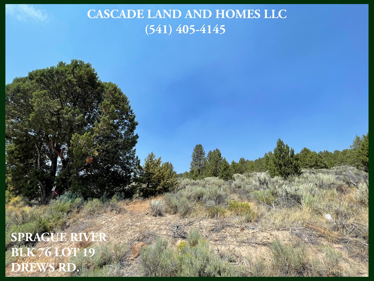 there are a few trees on the property, the rest is covered in sage, rabbit brush and native grasses. the  area is considered high desert and the soil in the area is volcanic with choptie loam.