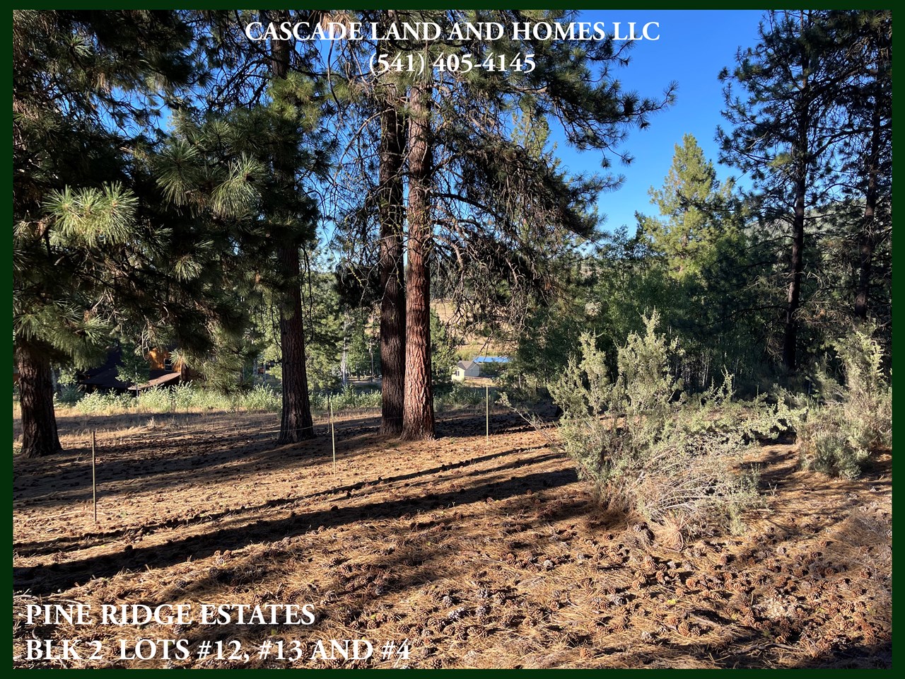 the tall pines on the property really give you the feeling of being out in the forest. it's quiet here. the noise you hear is just the wind in the trees and an rare, occasional neighbor passing by. it is a very peaceful spot. perfect for your new homesite!