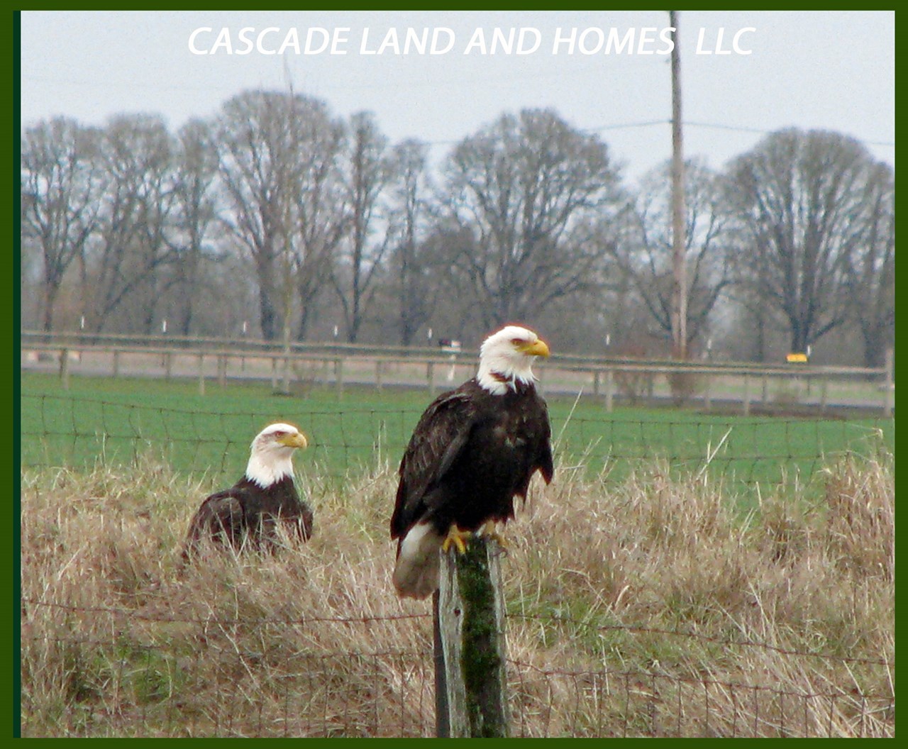 if you enjoy bird watching, the area is on the pacific flyway for migratory birds where you can often see bald eagles, sandhill cranes, and over 400 species of migratory birds! in the winter months, the area has the largest congregation of wintering bald eagles in the lower 48 states!