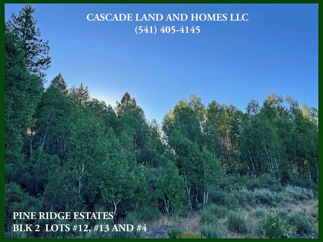 the property has a variety of mature trees, and slopes upward from royal coachman drive to increase the territorial views of the valley and surrounding mountains.