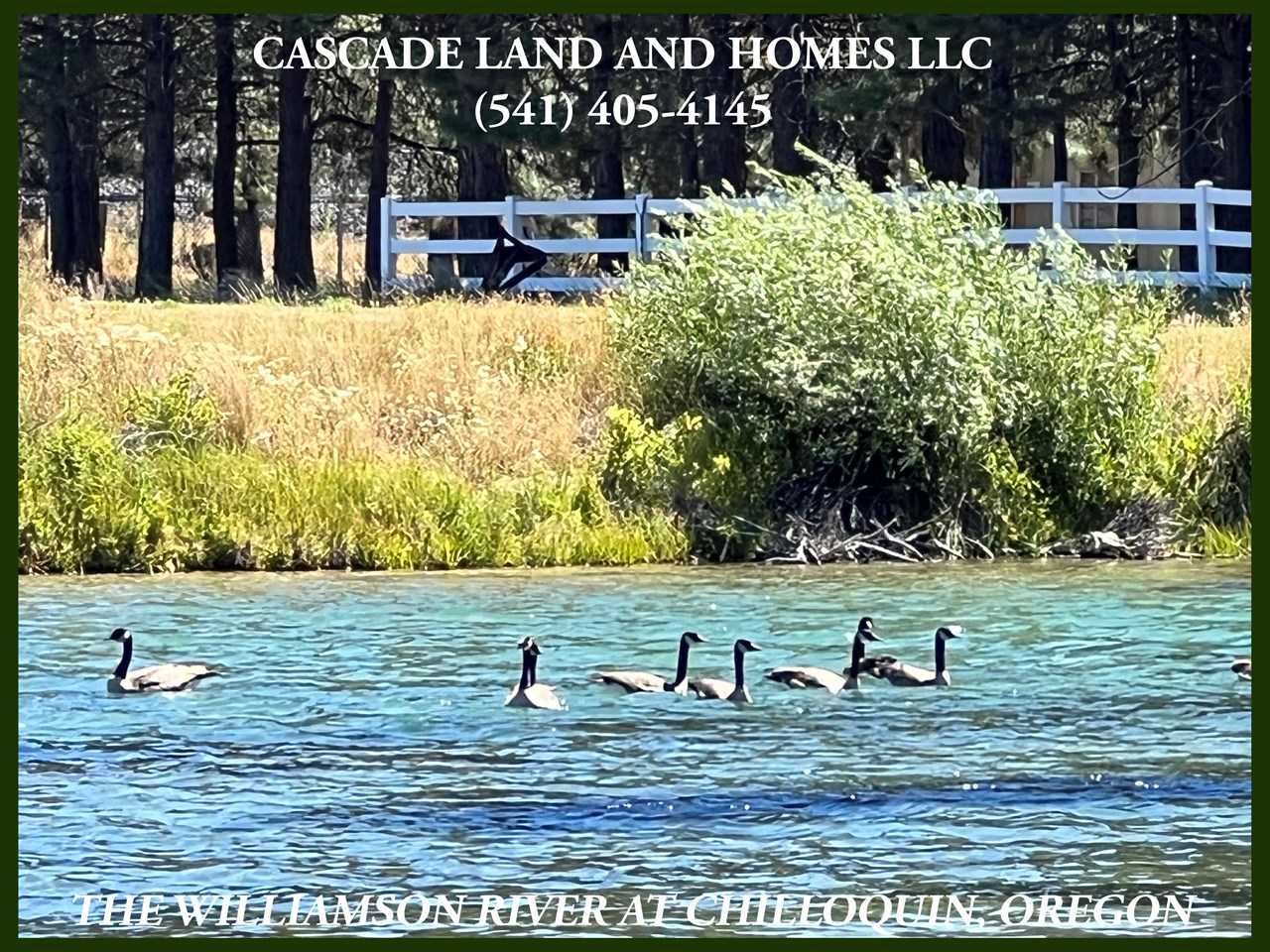 the majestic williamson river is just a very short 1/4 mile walk from the property. these geese were taking advantage of the cool water on this sunny afternoon. you could be doing the same!  wildlife surrounds you here! if you are looking for a quieter lifestyle, but still not too far from the amenities of a nearby town, this is a great place. it's quiet, peaceful, and absolutely gorgeous here! you could walk down to the river's edge every morning!