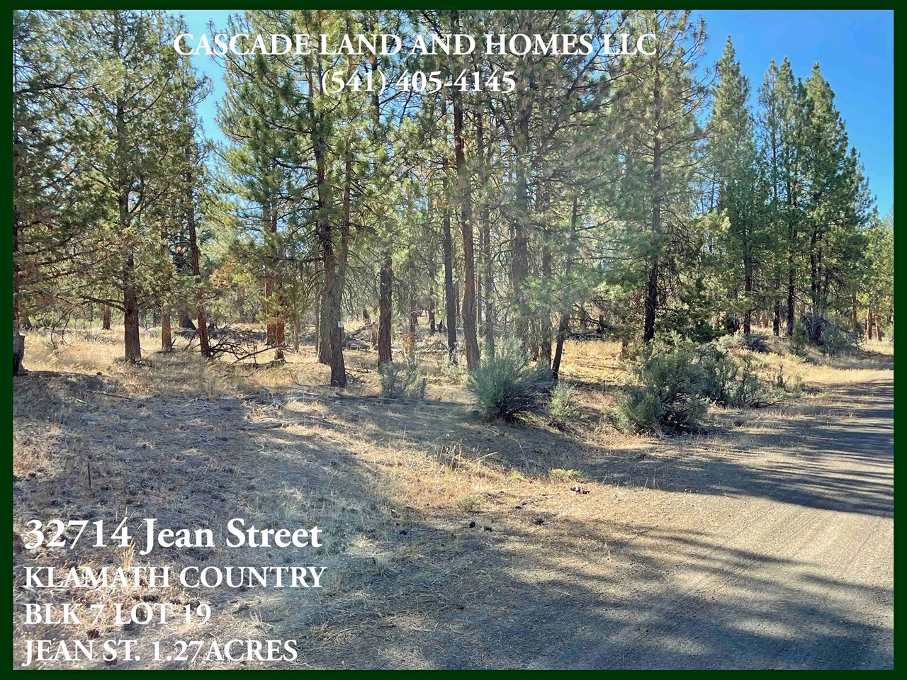 the mix of mature and younger pine trees allows for the perfect mix of light to shine through. there are many areas on the property that would make a perfect homesite!