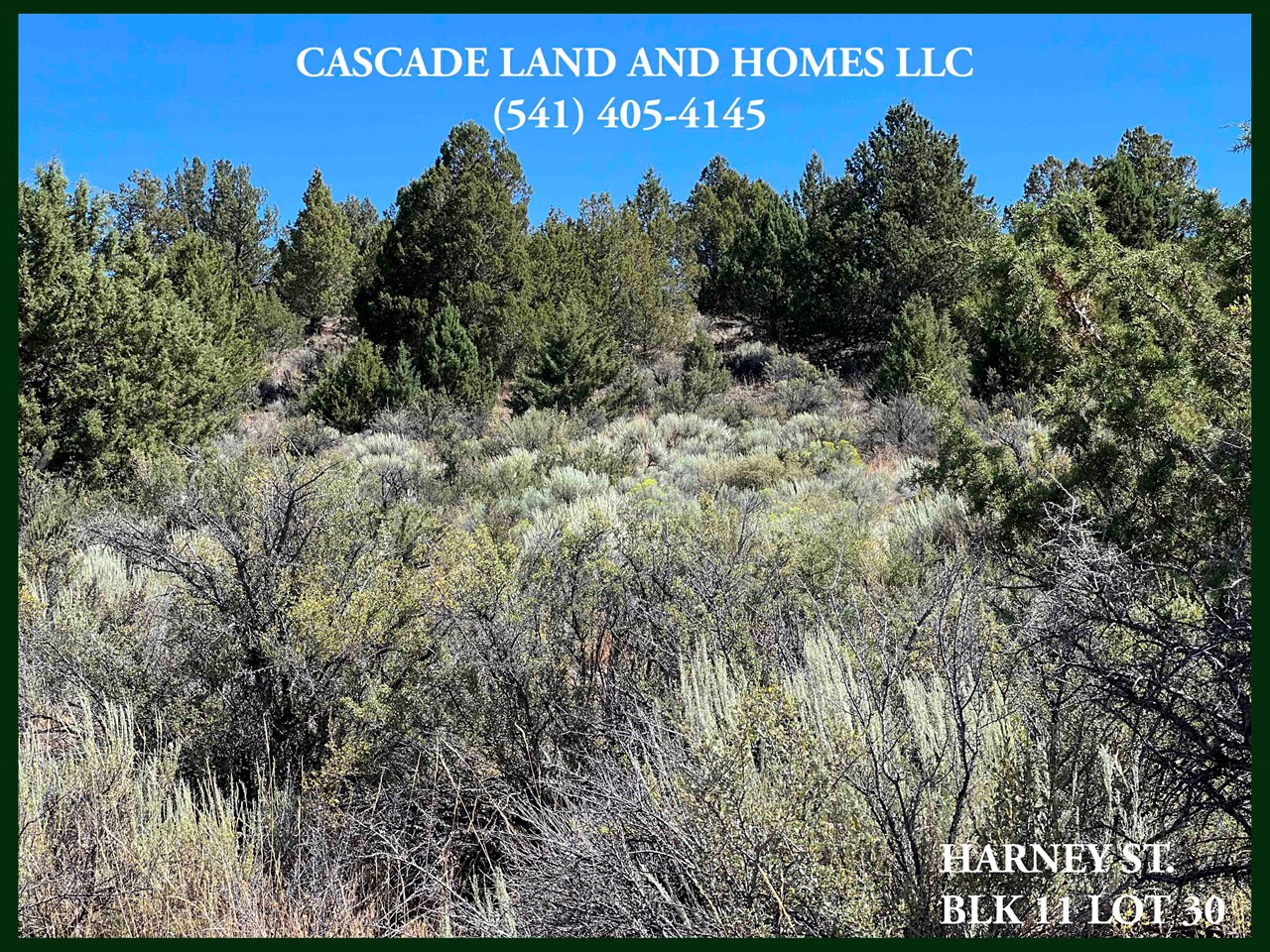the gentle slope makes a beautiful location for a homesite, the views are spectacular, and you can just imagine sitting on your deck looking up at the stars at night, with almost no light or air pollution!
