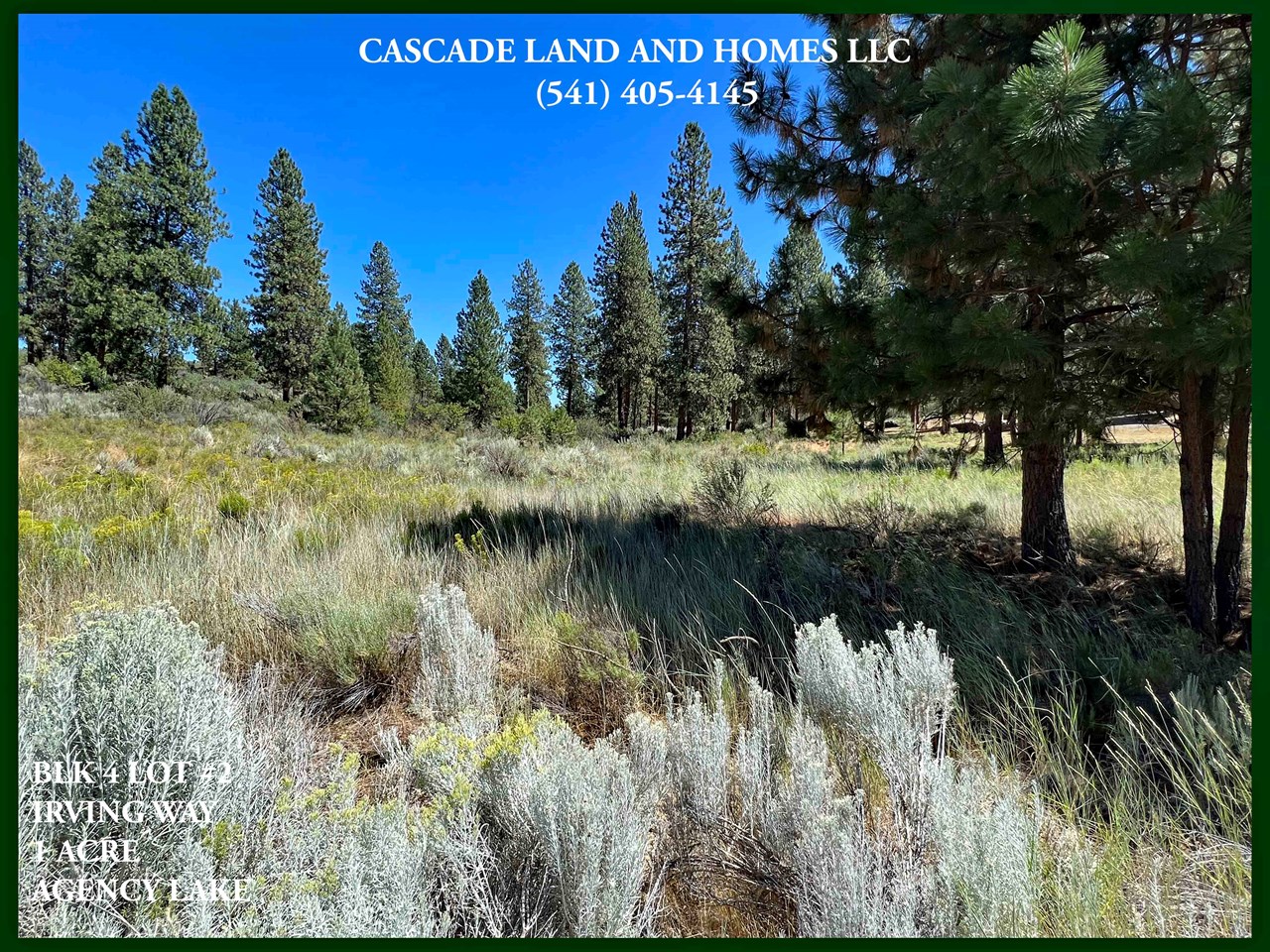 unlike many properties in the area, this gorgeous parcel has many large pine trees adding natural beauty, shade in the summer and protection in the winters, they also attract  birds and wildlife! the property also has rabbit brush, sage, and native grasses. in the spring it is covered in beautiful wildflowers!