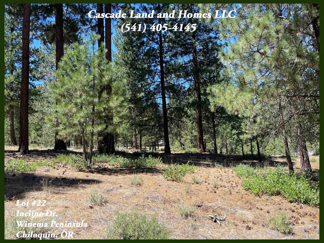 this is an area of custom homes and mostly long term residents, but it would also make a great place for a vacation home. the property is centrally located for outdoor recreation, no matter what season it is!