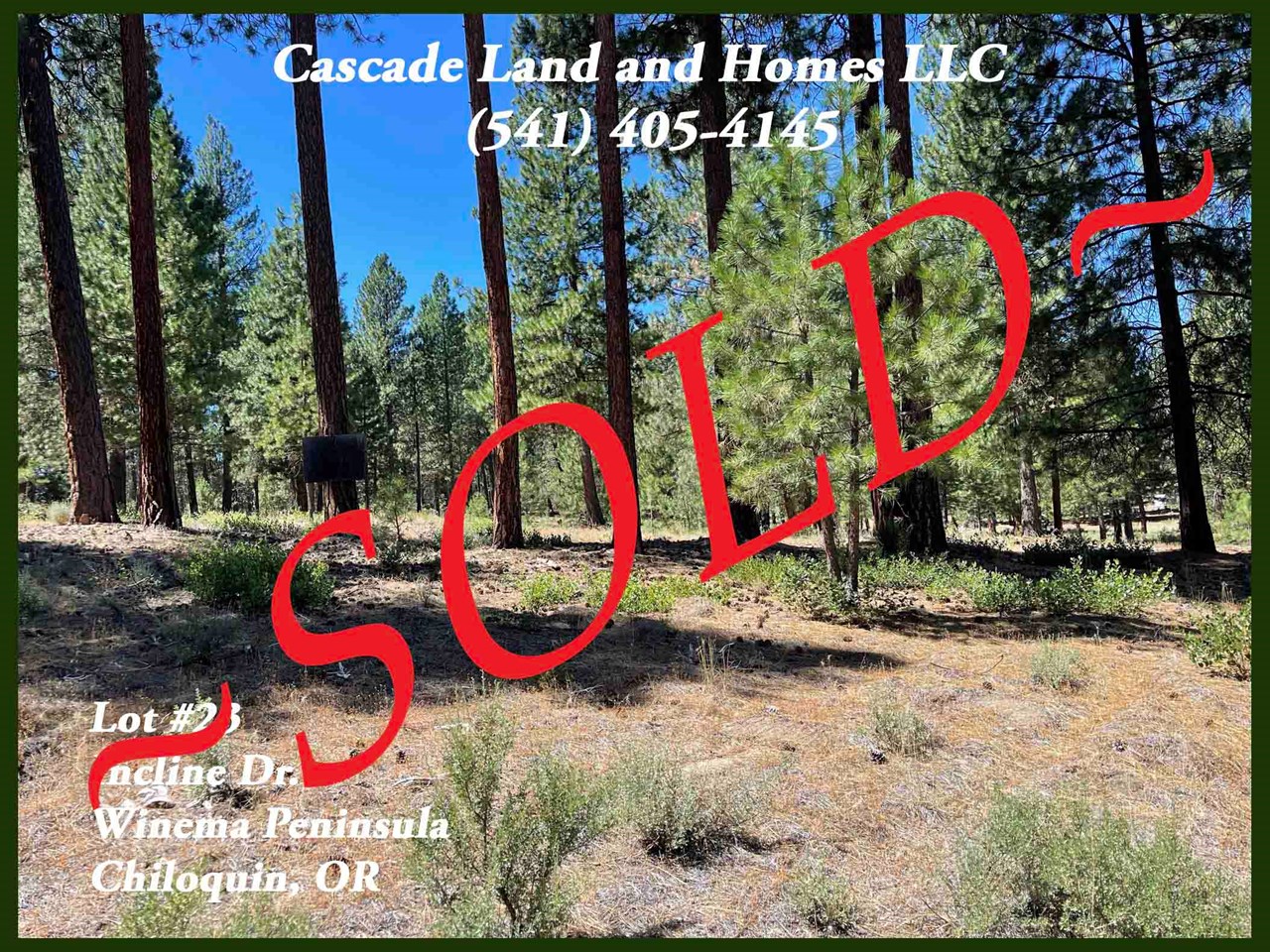 nestled in the mature ponderosa and lodgepole pines, this large, 2.81 acre property has so many possibilities! the property adjacent to this one is also for sale from the same owner, make an offer on both, and increase your property size to 4.89 acres! as soon as you step onto the property the intoxicating smell of the pines makes you feel as though you are deep in the woods! imagine being able to step out of your backdoor, or sit on the deck of your new home and enjoy the tall trees, smells and sounds of the forest every day! the property is less than 1/2 mile to the banks of the legendary world-class fly fishing of the williamson river!  give our office a call today for more information!
