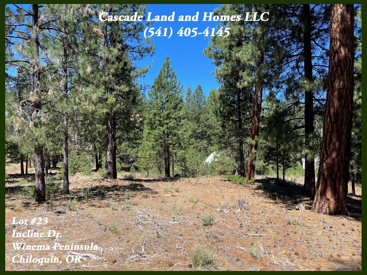 this is an area of custom homes and mostly long term residents, but it would also make a great place for a vacation home. the property is centrally located for outdoor recreation, no matter what season it is!