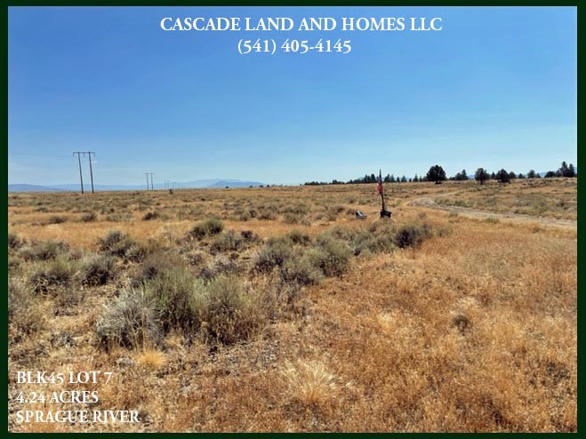the parcel is fairly flat with just a gentle slope, and with the large size of this property, there could be many possible building sites! the property has native rabbit brush, sage and native grasses. in the spring it is blanketed in wildflowers!