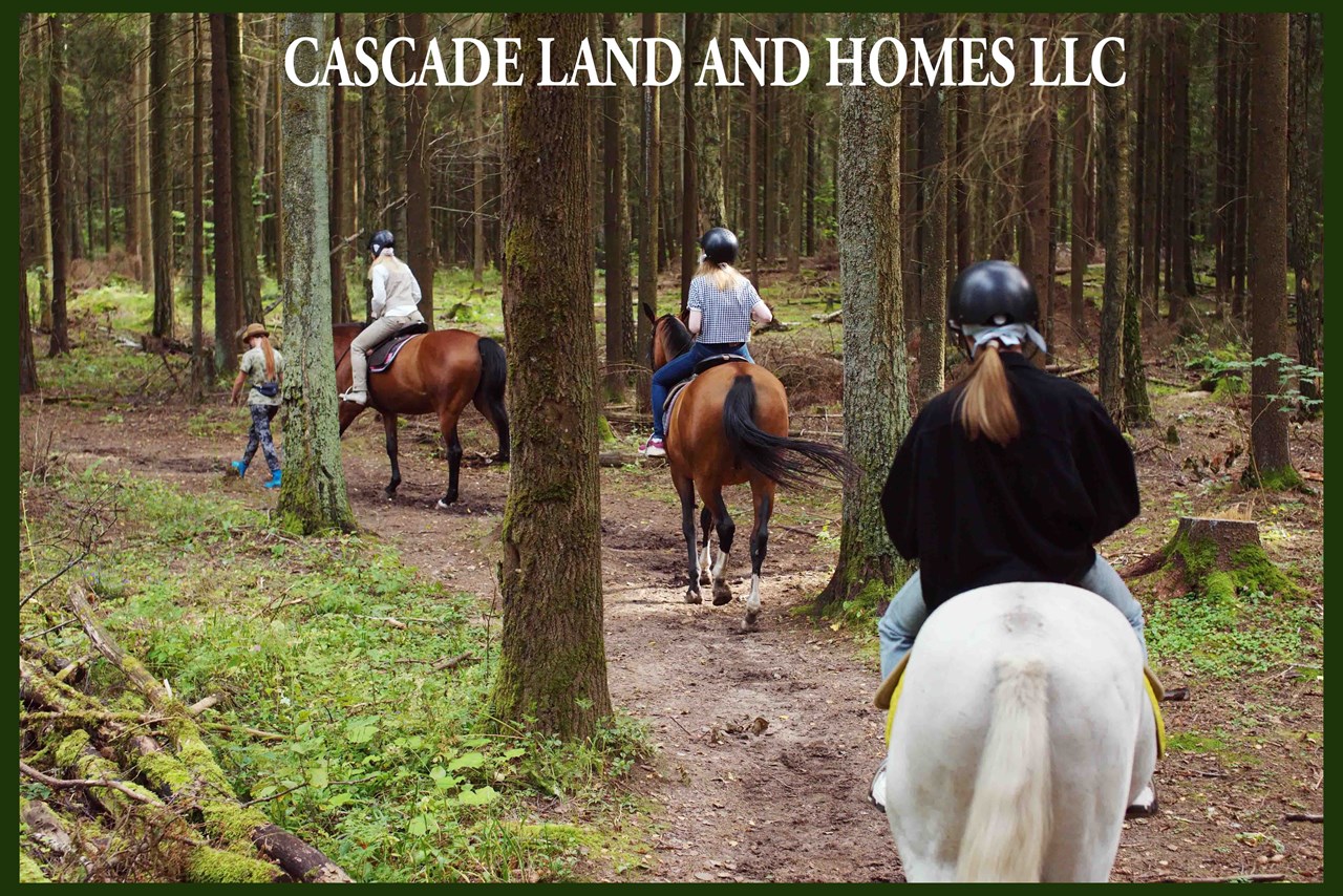 horseback riding is popular here. if you make an offer on both adjoining parcels, with three acres, you would have plenty of room for a few horses! there are millions of acres of public lands, and roads to ride.