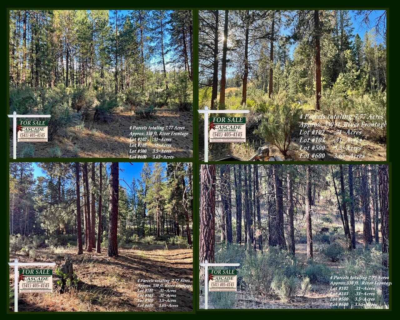 this property has many tall, mature pine trees! gorgeous pines add to the privacy of this unique property and provide homes for the abundant wildlife in the area.



mls # 220156878 
lot #102, #103
2610/2620 south chiloquin road, chiloquin, oregon