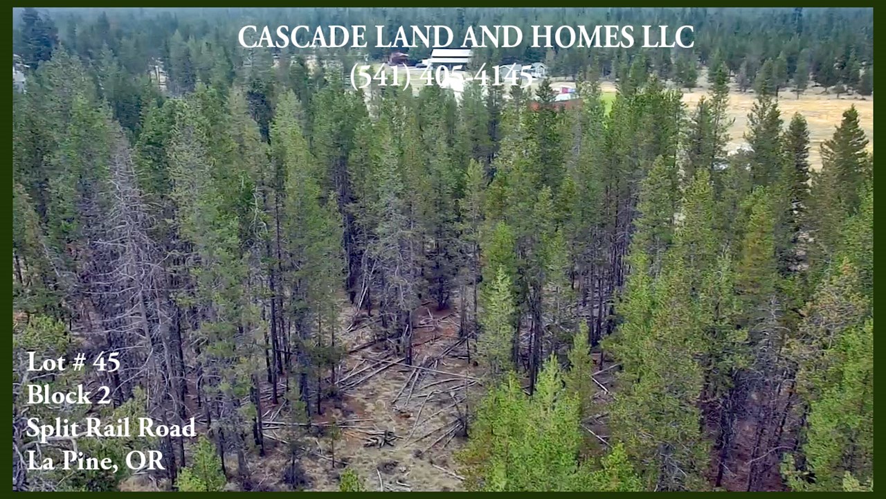 drone photo of the property shows the many trees on the property. there are some cleared areas toward the back with some native grasses and shrubs. the trees are primarily lodgepole pines.
