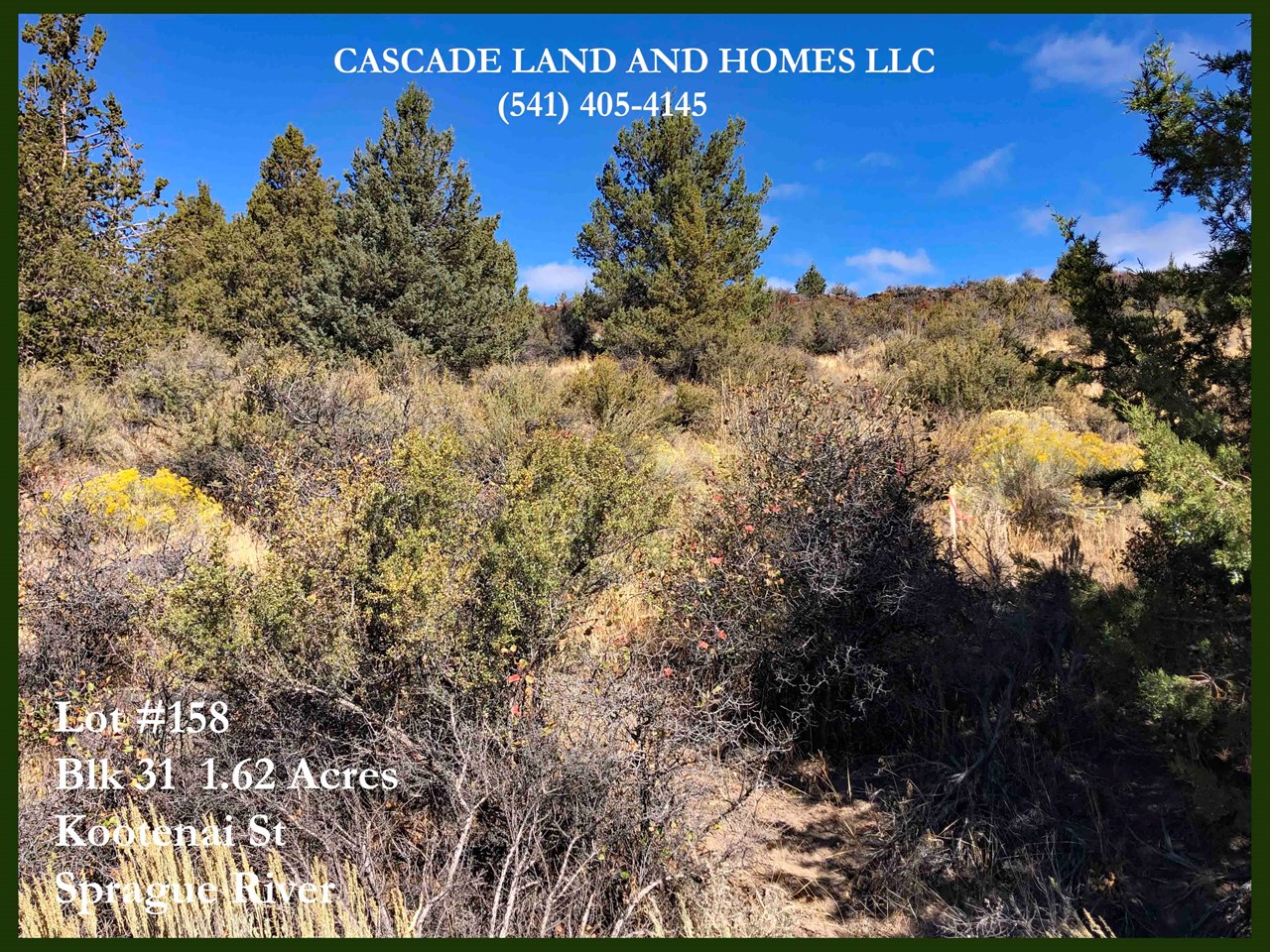 large 1.62 acre property the property sits just below the volcanic rim of the high plateau. the local topography is really unique. there are many hiking trails and areas to explore the wilderness here! with the large size of this parcel, there are many possible building sites! bring your house plans!
